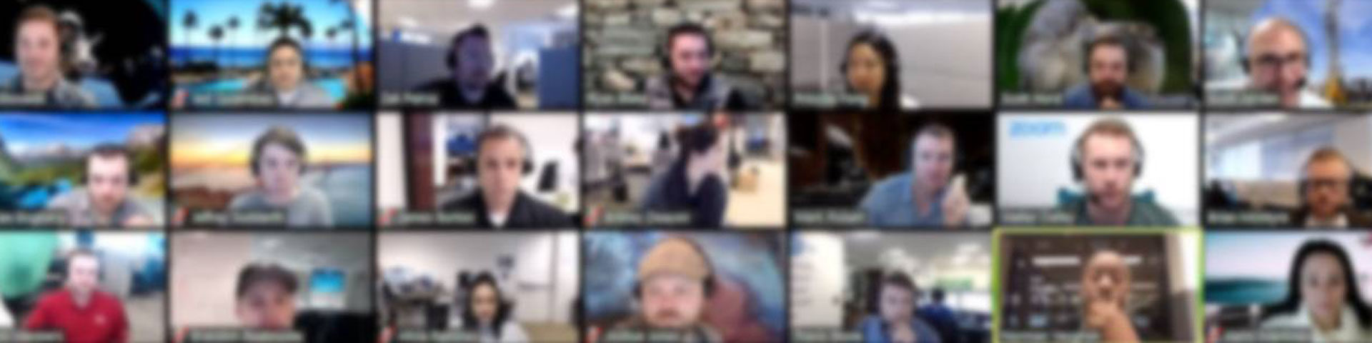 Sample screenshot of participants in a Zoom meeting
