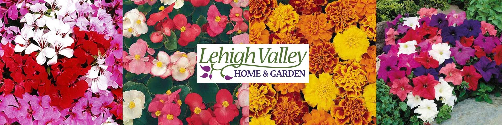 Various flowers and Lehigh Valley Home and Garden Center logo