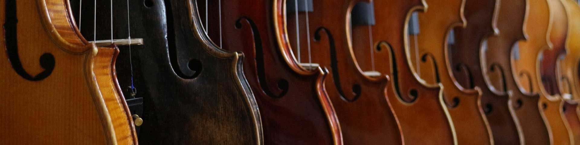 Header image of a series of cellos